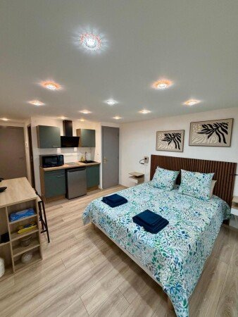 Studio 1 chambre, avec wifi