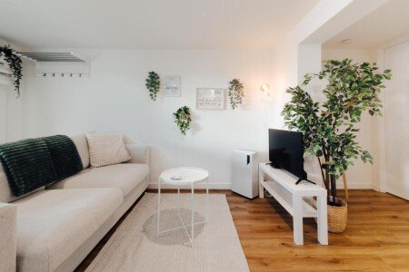 Appartement 1 chambre, avec jardin