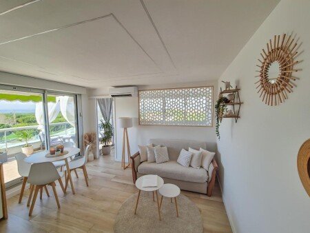 Appartement 1 chambre, avec jacuzzi