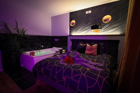 Appartement 2 voyageurs, avec jacuzzi