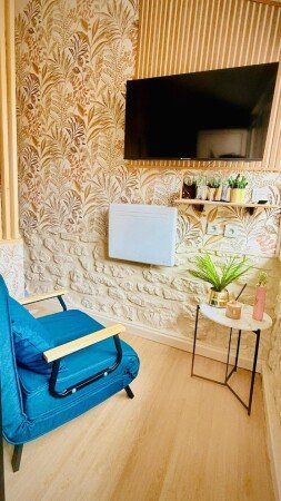 Appartement cozy, 1 chambre, avec jardin