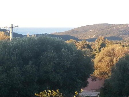 Appartamento 1 camera, con giardino