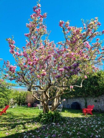Bed and breakfast de charme, 4 voyageurs, avec jacuzzi