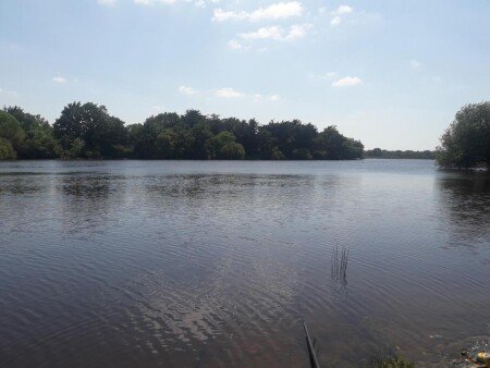 Maison de campagne 1 chambre, avec jardin