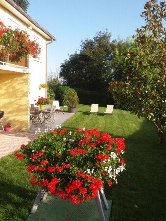 Appartement 1 chambre, avec jardin
