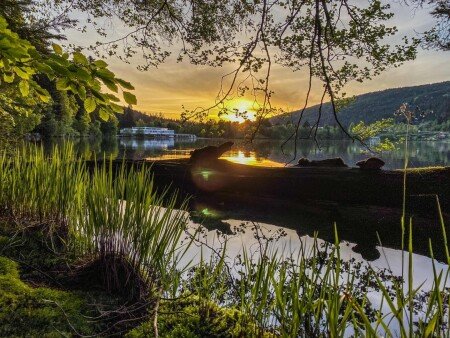 Appart'Hotel 6 voyageurs, avec jardin