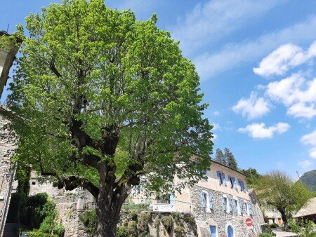 Bed and breakfast 1 chambre, avec jardin