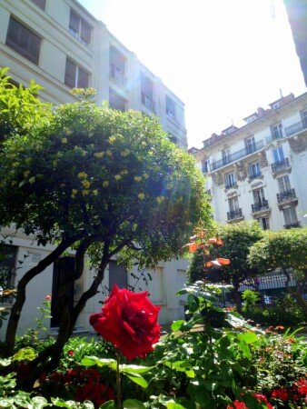 Appart'Hotel 4 voyageurs, avec jardin