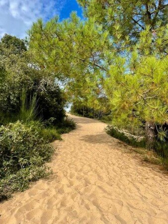 Appart'Hotel 4 voyageurs, avec wifi