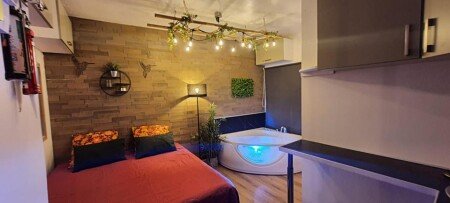 Studio 1 chambre, avec jacuzzi