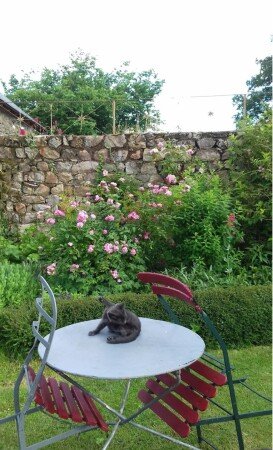 Gîte 1 chambre, avec jardin
