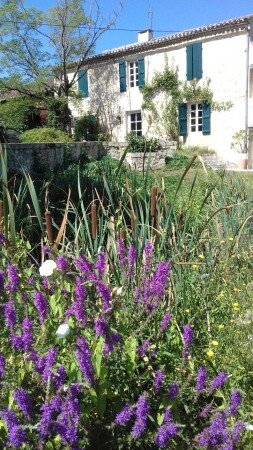 Bed and breakfast 1 chambre, avec jardin