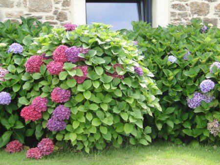 Maison 1 chambre, avec parking