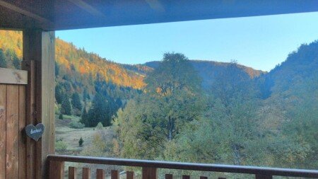 Appartement 1 chambre, avec parking