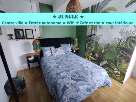 T2 1 chambre, avec jardin