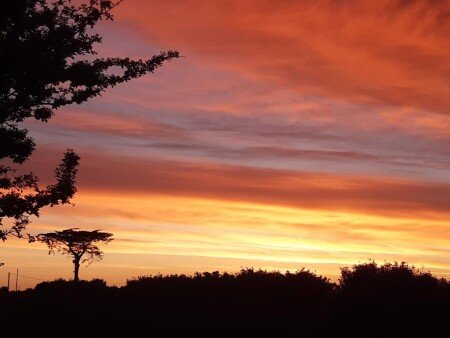 Appartement 2 chambres, avec jardin