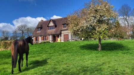 Bed and breakfast 1 chambre, avec jacuzzi