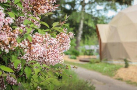 Camping / Mobil Home 8 voyageurs, avec jardin