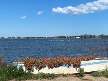 Mazet 1 chambre, avec jardin