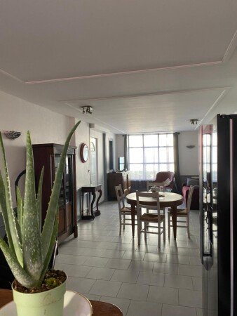 Appartement 1 chambre, avec jardin