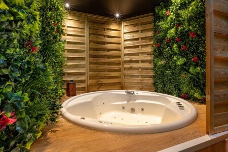 Appartement 1 chambre, avec jacuzzi