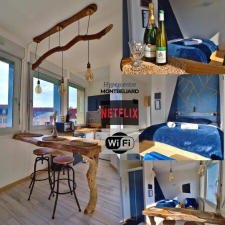 Studio cozy, 1 chambre, avec wifi