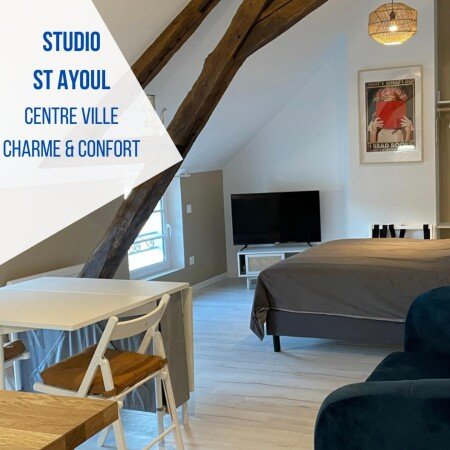 Studio 1 chambre, avec climatisation