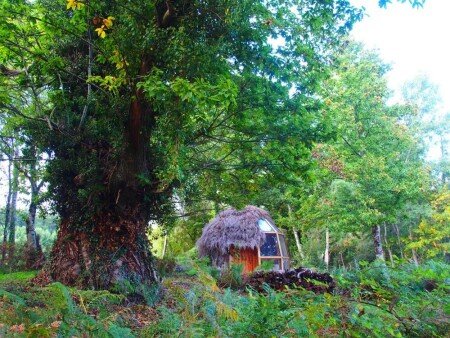 Hébergement insolite 1 chambre, avec jardin