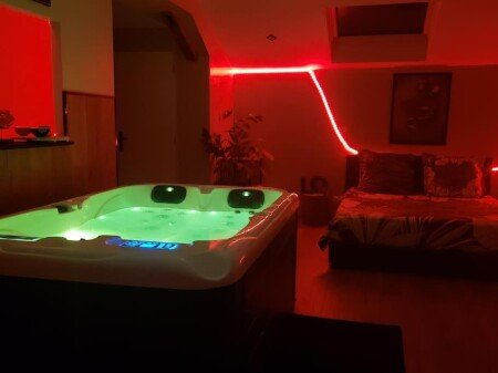 Appartement 1 chambre, avec jacuzzi