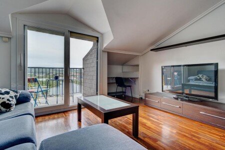 Apartamento 2 habitaciones, con aire acondicionado