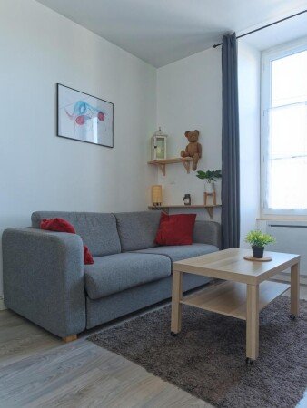 Appartement cozy, 1 chambre, avec wifi