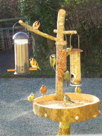 Bed and breakfast 2 guests, with garden