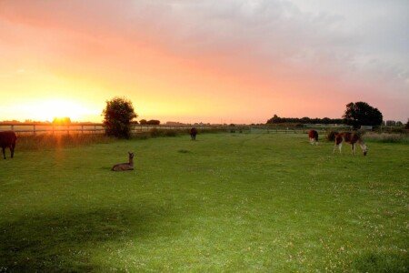 Maison 10 voyageurs, avec jacuzzi