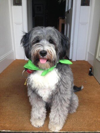 Bed and breakfast 2 ospiti, con wifi