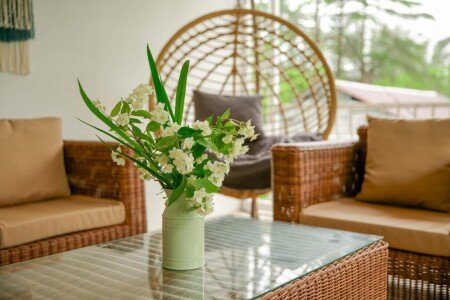 House 4 bedrooms, with garden