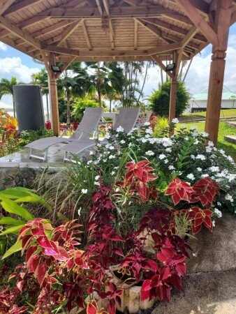 Bed and breakfast 1 chambre, avec jacuzzi