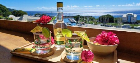 Appartement 1 chambre, avec climatisation