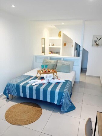 Appartement cozy, 1 chambre, avec jacuzzi
