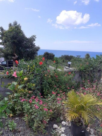 Appart'Hotel 4 voyageurs, avec jacuzzi