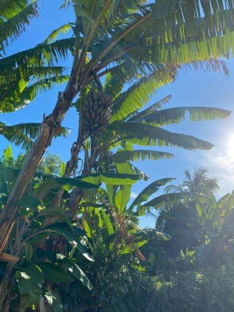 Gîte tout confort, 1 chambre, avec jardin