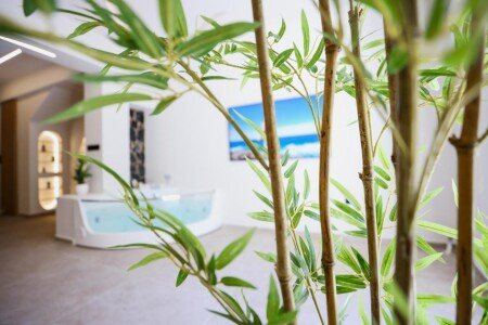 Apartment 1 bedroom, with jacuzzi