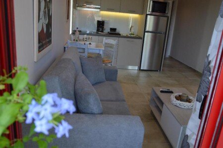 Appartement 1 chambre, avec jardin