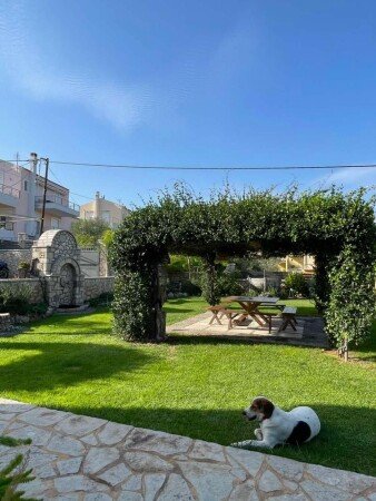 House 7 guests, with garden