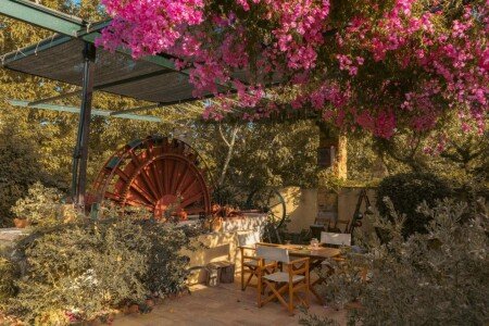 Villa 3 bedrooms, with garden