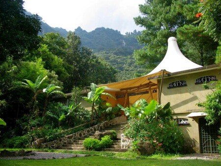 Hotel con jardín