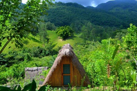 Bed and breakfast 3 ospiti, con giardino