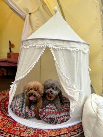 Unique house 1 bedroom, with garden