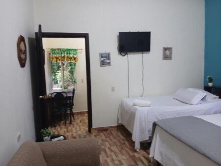 Apartamento 1 habitación, con jardín