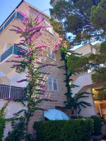 Wohnung 5 Gäste, mit Garten