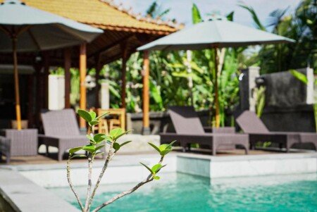 Villa 1 bedroom, with jacuzzi